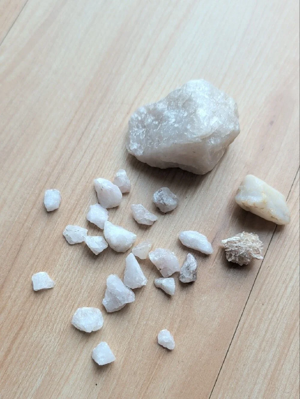 5lb Natural Gemstone & Crystal Collection w/ Storage Case | Tumbled & Raw Minera